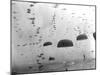 WWII Parachutes over Holland-null-Mounted Premium Photographic Print