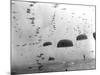 WWII Parachutes over Holland-null-Mounted Photographic Print