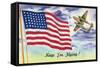 WWII Promotion - Keep 'em Flying, US Flag and Bomber-Lantern Press-Framed Stretched Canvas