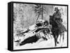 WWII Red Army Cavalry Rider-null-Framed Stretched Canvas