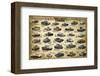 WWII Tanks-null-Framed Art Print