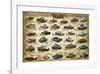 WWII Tanks-null-Framed Art Print