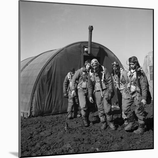 WWII: Tuskegee Airmen, 1945-Toni Frissell-Mounted Giclee Print