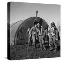 WWII: Tuskegee Airmen, 1945-Toni Frissell-Stretched Canvas