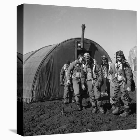 WWII: Tuskegee Airmen, 1945-Toni Frissell-Stretched Canvas