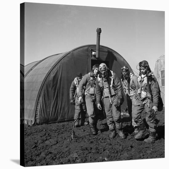 WWII: Tuskegee Airmen, 1945-Toni Frissell-Stretched Canvas