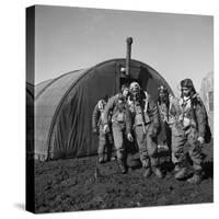 WWII: Tuskegee Airmen, 1945-Toni Frissell-Stretched Canvas