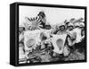 WWII U.S. Marines Capture Flags-null-Framed Stretched Canvas