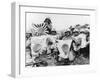 WWII U.S. Marines Capture Flags-null-Framed Photographic Print