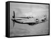 WWII U.S. Mustang-null-Framed Stretched Canvas