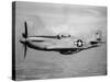 WWII U.S. Mustang-null-Stretched Canvas