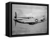 WWII U.S. Mustang-null-Framed Stretched Canvas