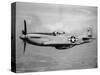 WWII U.S. Mustang-null-Stretched Canvas