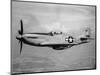 WWII U.S. Mustang-null-Mounted Photographic Print