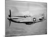 WWII U.S. Mustang-null-Mounted Photographic Print