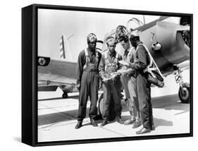 WWII U.S. Tuskegee Airmen-null-Framed Stretched Canvas