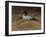 WWL 65442-Michael Jackson-Framed Giclee Print