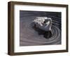 WWL 65445-Michael Jackson-Framed Giclee Print