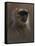 WWL 70114-Michael Jackson-Framed Stretched Canvas