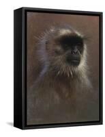 WWL 70114-Michael Jackson-Framed Stretched Canvas