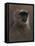 WWL 70114-Michael Jackson-Framed Stretched Canvas