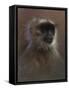 WWL 70114-Michael Jackson-Framed Stretched Canvas