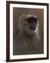 WWL 70114-Michael Jackson-Framed Giclee Print