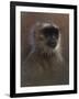 WWL 70114-Michael Jackson-Framed Giclee Print