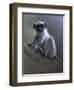 WWL 70115-Michael Jackson-Framed Giclee Print