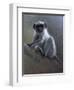 WWL 70115-Michael Jackson-Framed Giclee Print