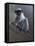 WWL 70115-Michael Jackson-Framed Stretched Canvas