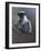 WWL 70115-Michael Jackson-Framed Giclee Print