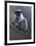 WWL 70115-Michael Jackson-Framed Giclee Print