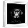 White Frame