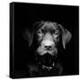 Canvas Black