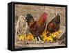 Wyandotte (Breed) Rooster and Hen-Lynn M^ Stone-Framed Stretched Canvas