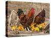 Wyandotte (Breed) Rooster and Hen-Lynn M^ Stone-Stretched Canvas