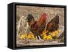 Wyandotte (Breed) Rooster and Hen-Lynn M^ Stone-Framed Stretched Canvas