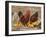 Wyandotte (Breed) Rooster and Hen-Lynn M^ Stone-Framed Photographic Print