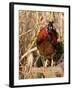 Wyandotte (Breed) Rooster-Lynn M^ Stone-Framed Photographic Print