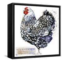 Wyandotte Hen. Poultry Farming. Chicken Breeds Series. Domestic Farm Bird Watercolor Illustration.-Faenkova Elena-Framed Stretched Canvas