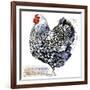 Wyandotte Hen. Poultry Farming. Chicken Breeds Series. Domestic Farm Bird Watercolor Illustration.-Faenkova Elena-Framed Art Print