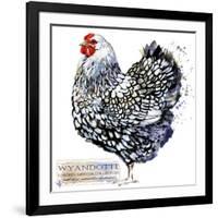 Wyandotte Hen. Poultry Farming. Chicken Breeds Series. Domestic Farm Bird Watercolor Illustration.-Faenkova Elena-Framed Art Print