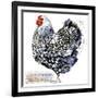 Wyandotte Hen. Poultry Farming. Chicken Breeds Series. Domestic Farm Bird Watercolor Illustration.-Faenkova Elena-Framed Art Print