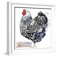 Wyandotte Hen. Poultry Farming. Chicken Breeds Series. Domestic Farm Bird Watercolor Illustration.-Faenkova Elena-Framed Art Print