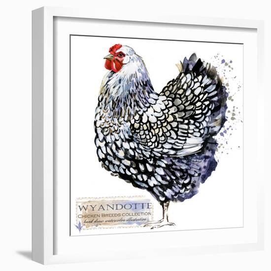 Wyandotte Hen. Poultry Farming. Chicken Breeds Series. Domestic Farm Bird Watercolor Illustration.-Faenkova Elena-Framed Art Print