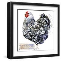 Wyandotte Hen. Poultry Farming. Chicken Breeds Series. Domestic Farm Bird Watercolor Illustration.-Faenkova Elena-Framed Art Print