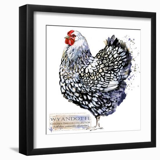 Wyandotte Hen. Poultry Farming. Chicken Breeds Series. Domestic Farm Bird Watercolor Illustration.-Faenkova Elena-Framed Art Print