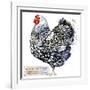 Wyandotte Hen. Poultry Farming. Chicken Breeds Series. Domestic Farm Bird Watercolor Illustration.-Faenkova Elena-Framed Art Print