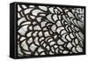 Wyandotte Silver Laced, Feather Detail-null-Framed Stretched Canvas